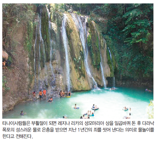 뉴스 사진