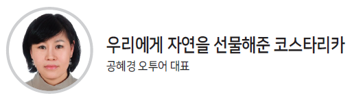 뉴스 사진