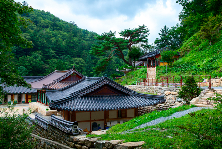 뉴스 사진